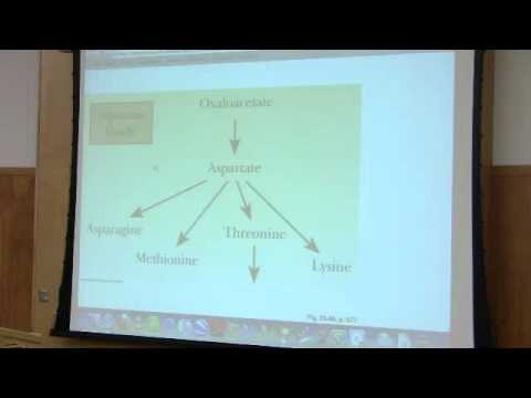 Nitrogen Metabolism by Kevin Ahern, Part 1 of 7