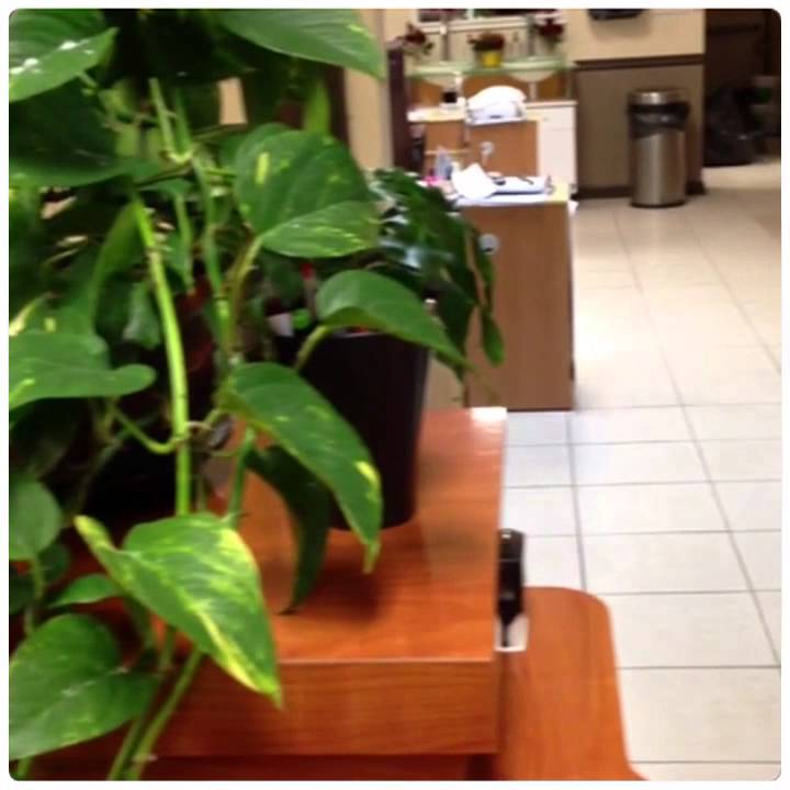 KV Nail Spa Entrance