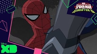 Ultimate Spider-Man Vs. The Sinister Six | Maximum Carnage | Official Disney XD UK