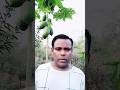 Insan Ka Sabse Bada Dushman Kaun Hai Hazrat Ali Shots Short Shorts Shortvideo Shortsviral