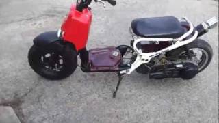 150cc GY6 Honda Ruckus walk around and start up
