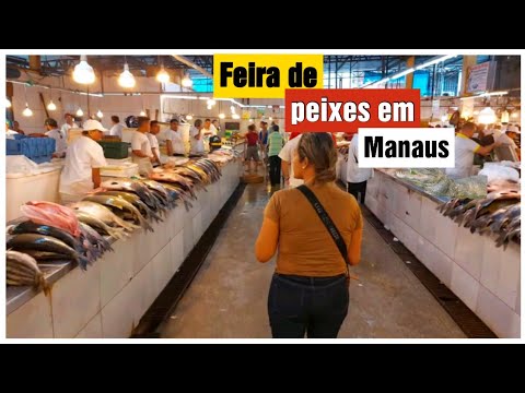 FARTURA e VARIEDADE de PEIXES