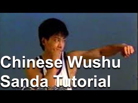中国武术散打 - Chinese Wushu Sanda Tutorial