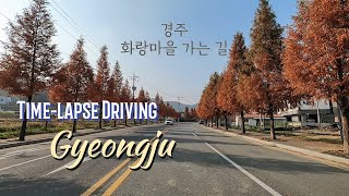 Gyeongju(경주) Time-lapse Driving & Recommended place to visit | 경주 화랑마을 가는 길 타임랩스 드라이브