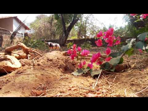 COPY007 - Langegarden - Rör Om (Video Cut)