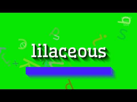 LILACEOUS - HOW TO PRONOUNCE IT? #lilaceous