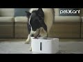 Видео о товаре W-1, Автоматическая поилка для кошек и собак / Petwant (Китай)