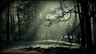 Tiamat - Carry Your Cross and I&#39;ll Carry Mine (Lyrics)