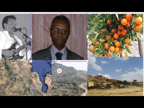 ቊጽሪ 52 (3ይ ክፋል) " 'ዞም ደቀይ: ናብ ኲናት ዝወፈረ ኲሉ ኣይመውትን'ዩ ኲሉ ኸኣ ኣይምለስን'ዩ::"