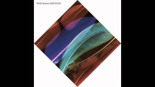 wild beasts - invisible