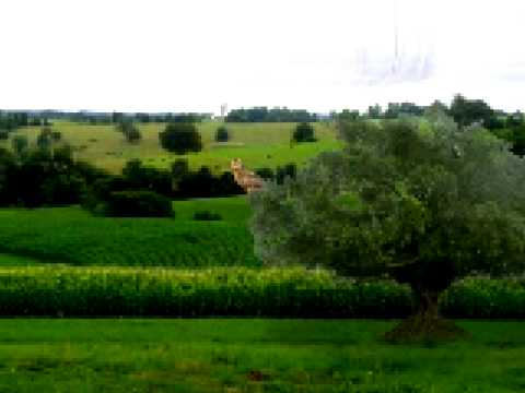 Facts of Congress - The Senate