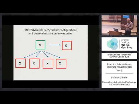 Lecture 4.2: Shimon Ullman - Atoms of Recognition
