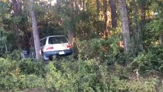 Bluffton car crash ends in line of trees