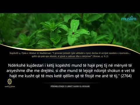 53. Amaneti dhe porosia - Sahih el Buhari