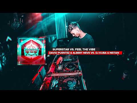 David Puentez & Albert Neve vs. DJ Kuba & Ne!tan - Superstar vs. Feel The Vibe (WeDamnz Mashup)