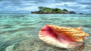 Joanna Brouk - The Space Between