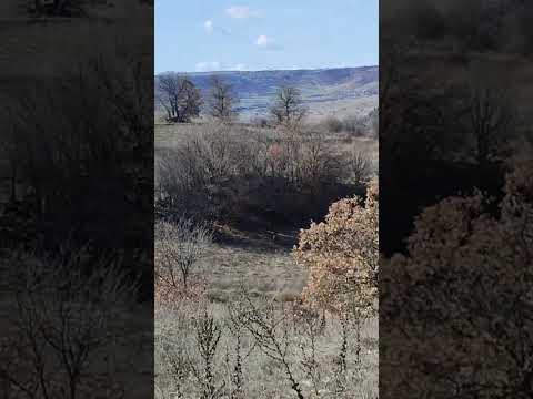 Zirve Hunting