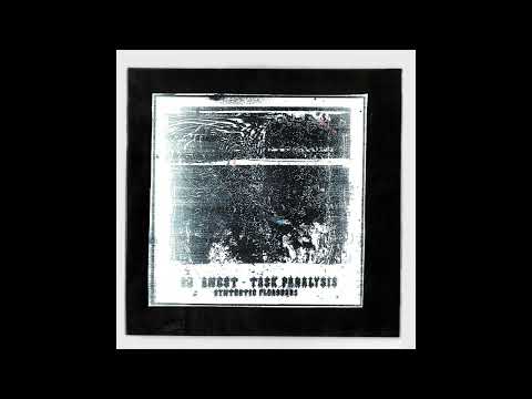 DJ Angst - Solitude [SYN017]