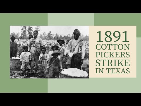1891 Cotton pickers organize union & stage strike in Texas