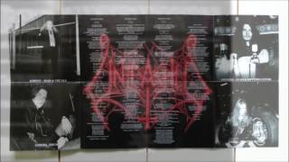 Unleashed - The Defender