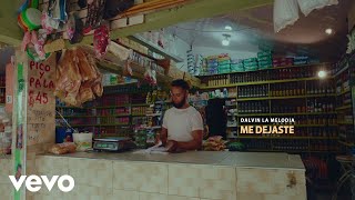 Me Dejaste Lyrics English Translation