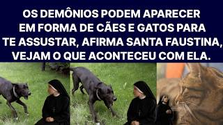 Os Demônios Podem Aparecer Em Forma De Cães e Gatos Para Te Assustar, Afirma Santa Faustina, Vejam.