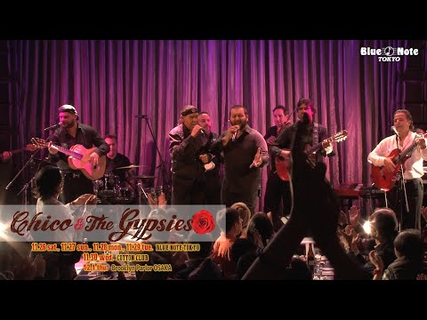 CHICO & THE GYPSIES @Blue Note Tokyo（2016 11.26 sat.）