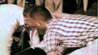 Black Flag - Drinking and Driving (road safety)