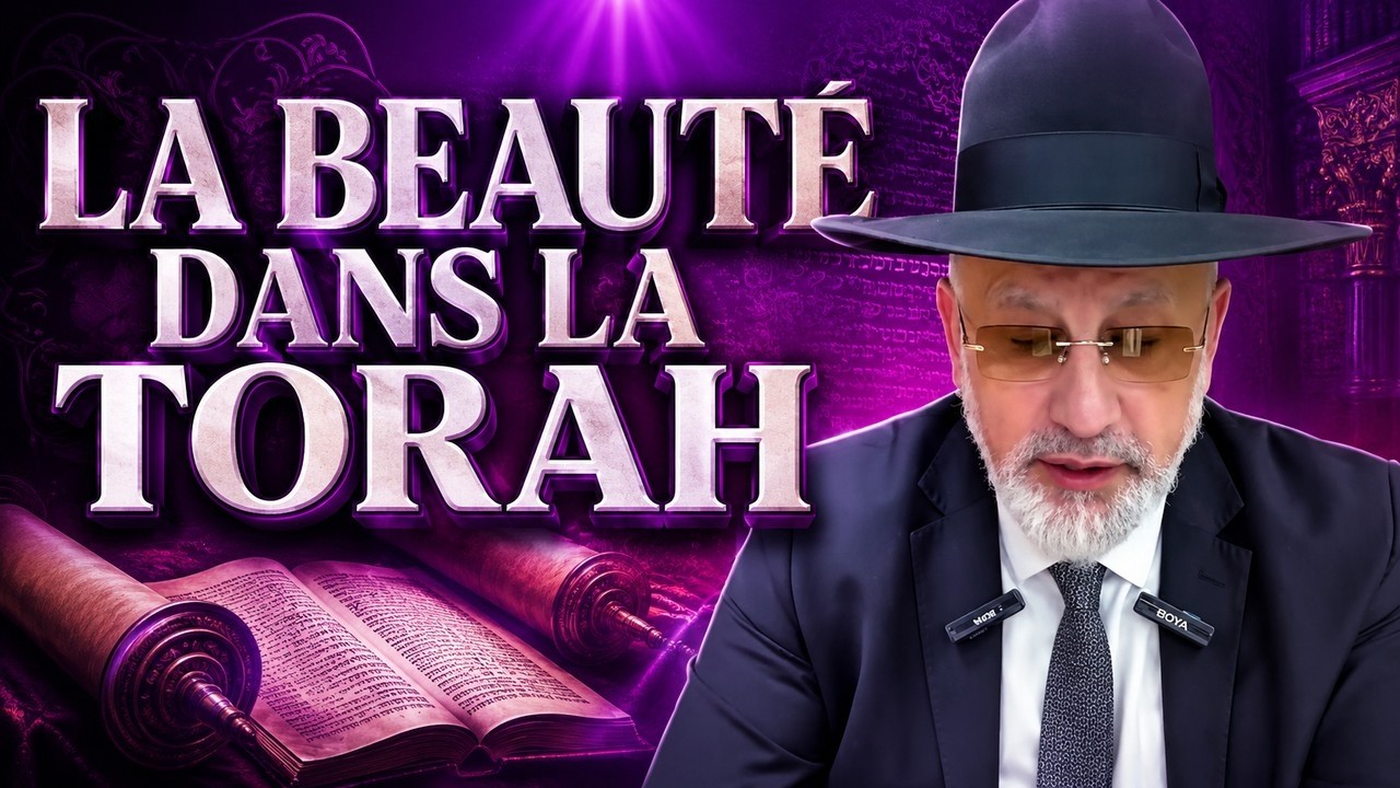 LA BEAUTÉ DANS LA TORAH