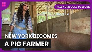New York's Day as a Pig Farmer! - New York Goes To Work - S01 EP02 - Reality TV