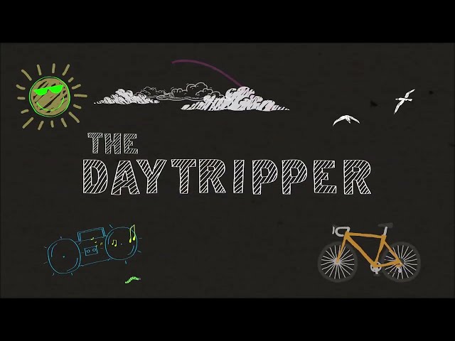 What is The Daytripper?