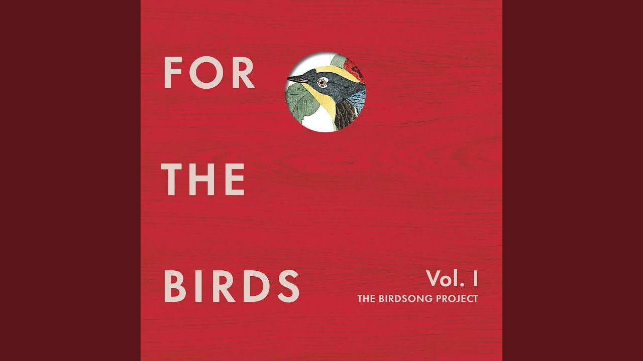 Damon Albarn - Bird Calling