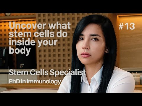 What happens to stem cells once they enter our body