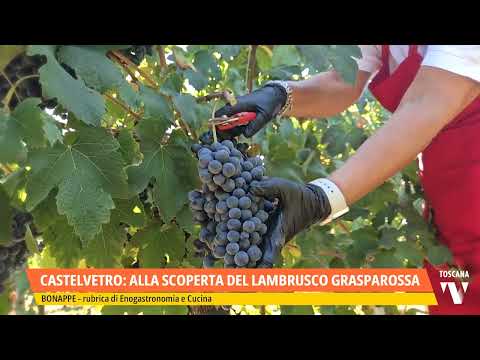 2025-10-18 BONAPPE - CASTELVETRO: ALLA SCOPERTA DEL LAMBRUSCO GRASPAROSSA