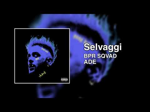 BPR SQVAD - Selvaggi