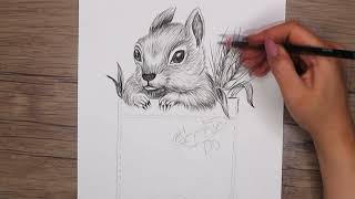 Easy Squirrel Drawing Anyone Can Try!