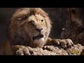 Mufasa S Death Evolution