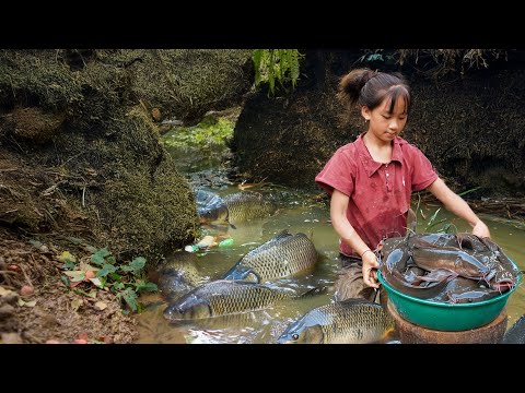 Little Girl Catches a Lot of Giant Carp in the Wild | Amazing Fishing Skills