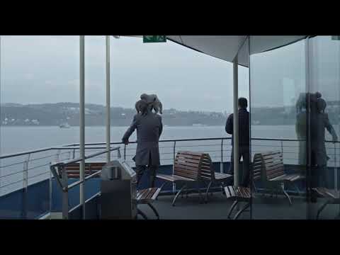 afbeelding Nachts Sind Alle Katzen Grau