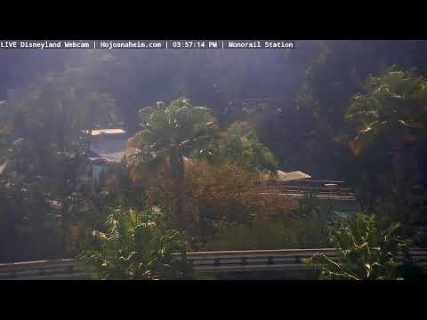 Live webcam of Disneyland Cam