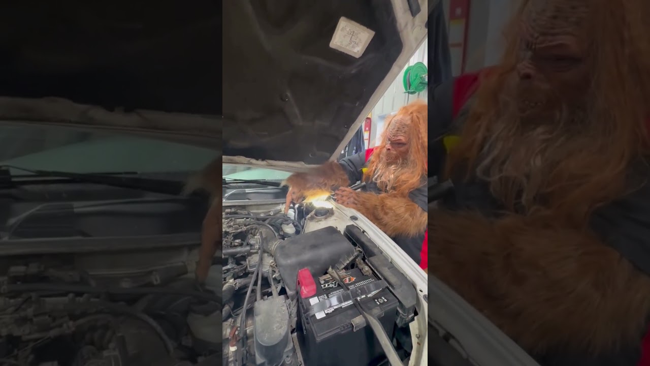 How to Check Your Car's Essential Fluids | Glenn's Garage Tips