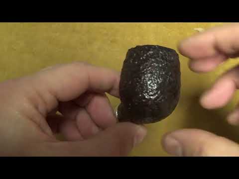 Pipa Peterson 160th Anniversary (Pat. OB) - Sabbiata - Limited Edition 2025 n. 1077/2400