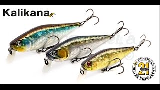Pontoon 21 kalikana 70 sp sr