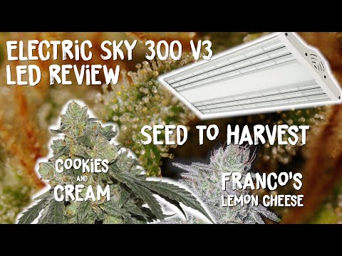 LED Review of the new Electric Sky 300 v3 s Grow Equipment