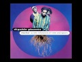 Digable Planets - Appointment at the Fat Clinic