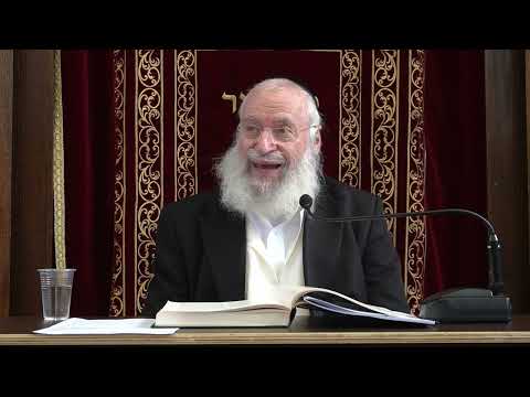 Rav Asher Weiss @ TC: Short Thought on Parshas Vayigash (5786)