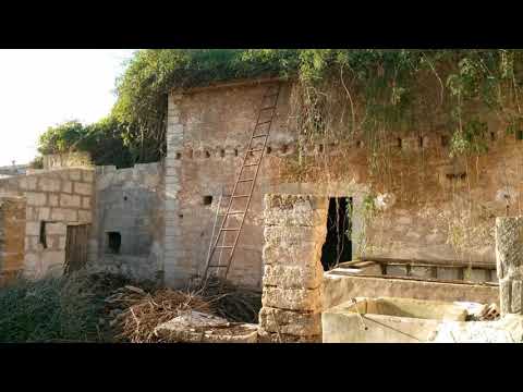 PA00018  Solar edificable en Binissalem