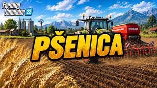PŠENICA