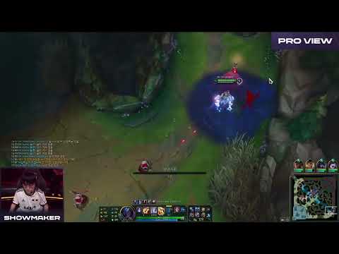 PRO VIEW: SHOWMAKER SOLOKILL