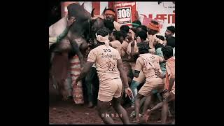 tamilnadu culture jallikattu in anbarivu movie with takkaru takkaru hiphop tamilzah #hiphoptamizha